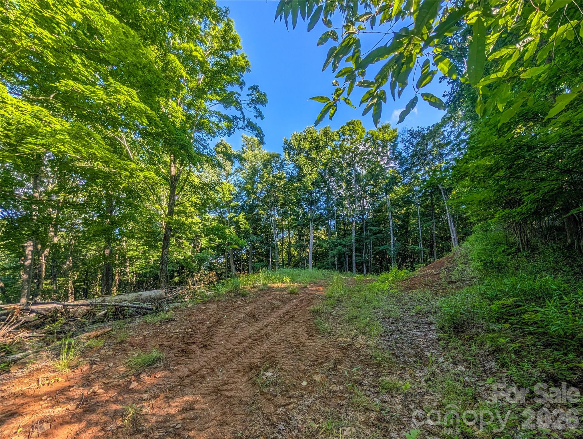 0 Amber Ranches, Unit 47 Bakersville, NC 28705 - Photo 2 of 18