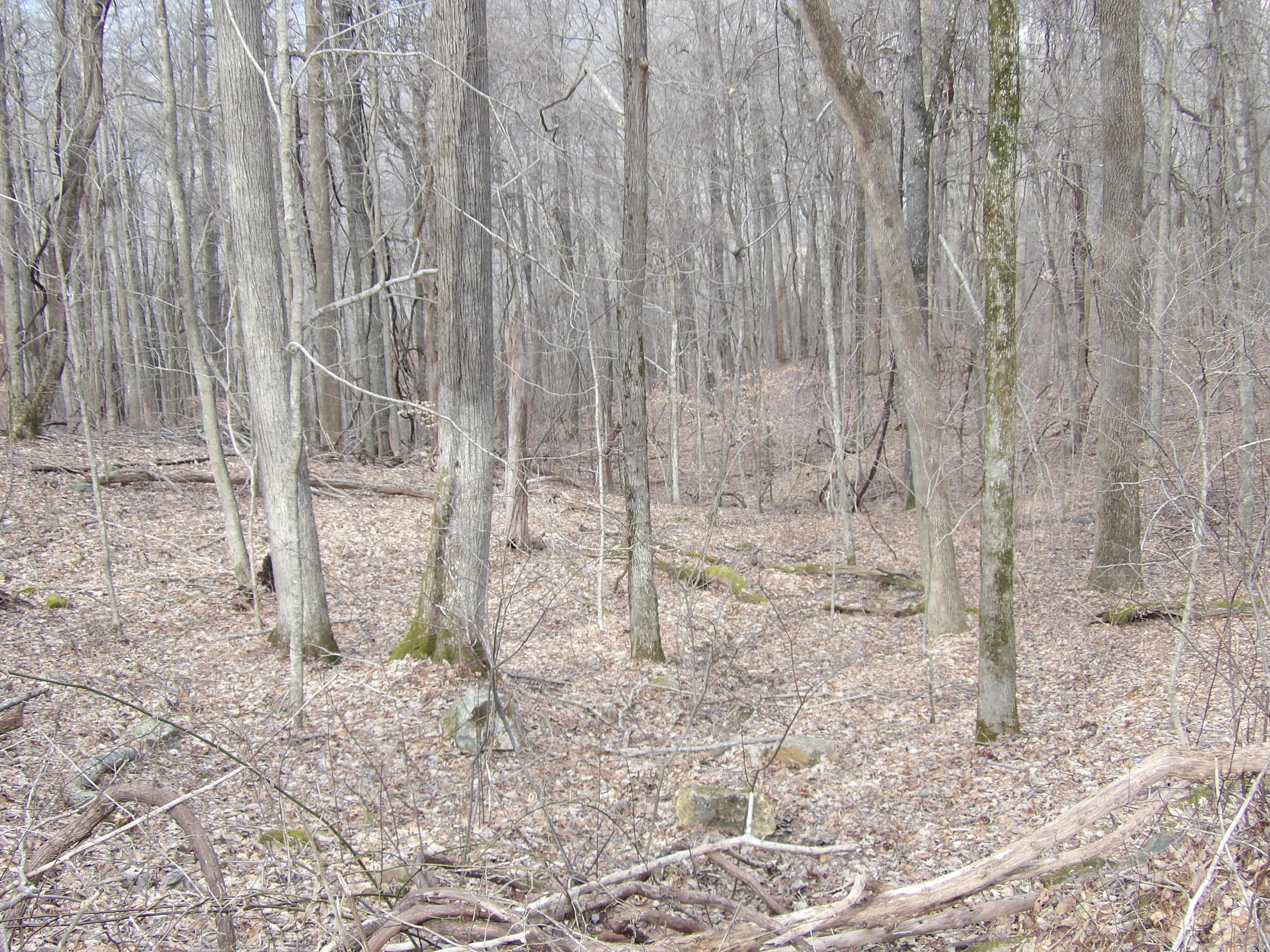 4 Fox Ridge Road, Unit 84 Pikeville, TN 37367 - Photo 7 of 8 100_0525