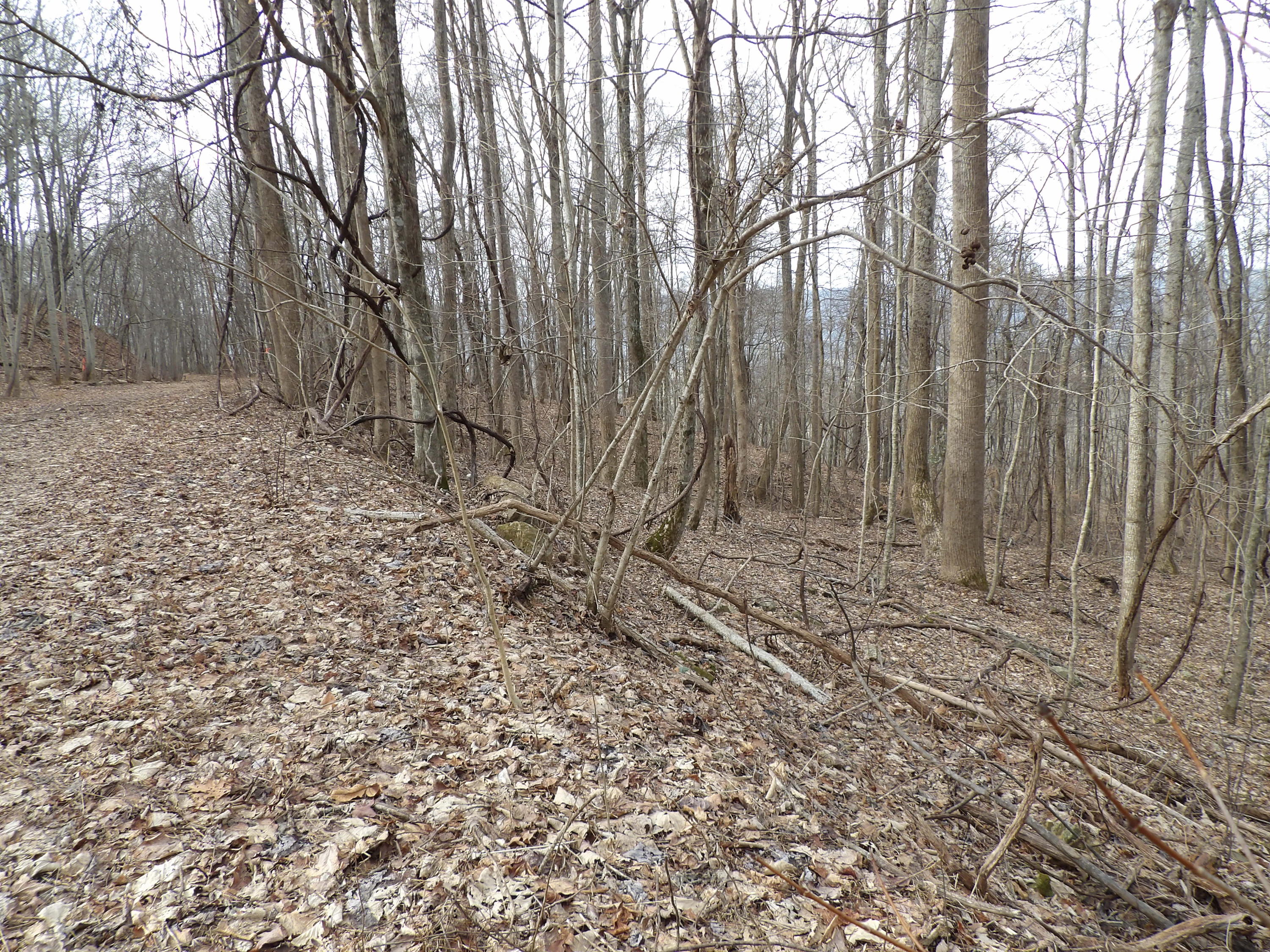 4 Fox Ridge Road, Unit 84 Pikeville, TN 37367 - Photo 8 of 8 100_0526