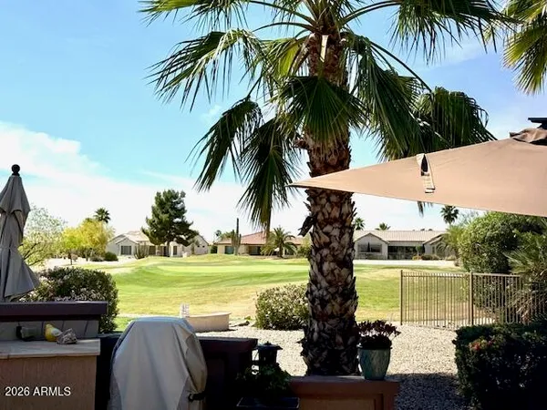 a view of a swimming pool with a garden and plants