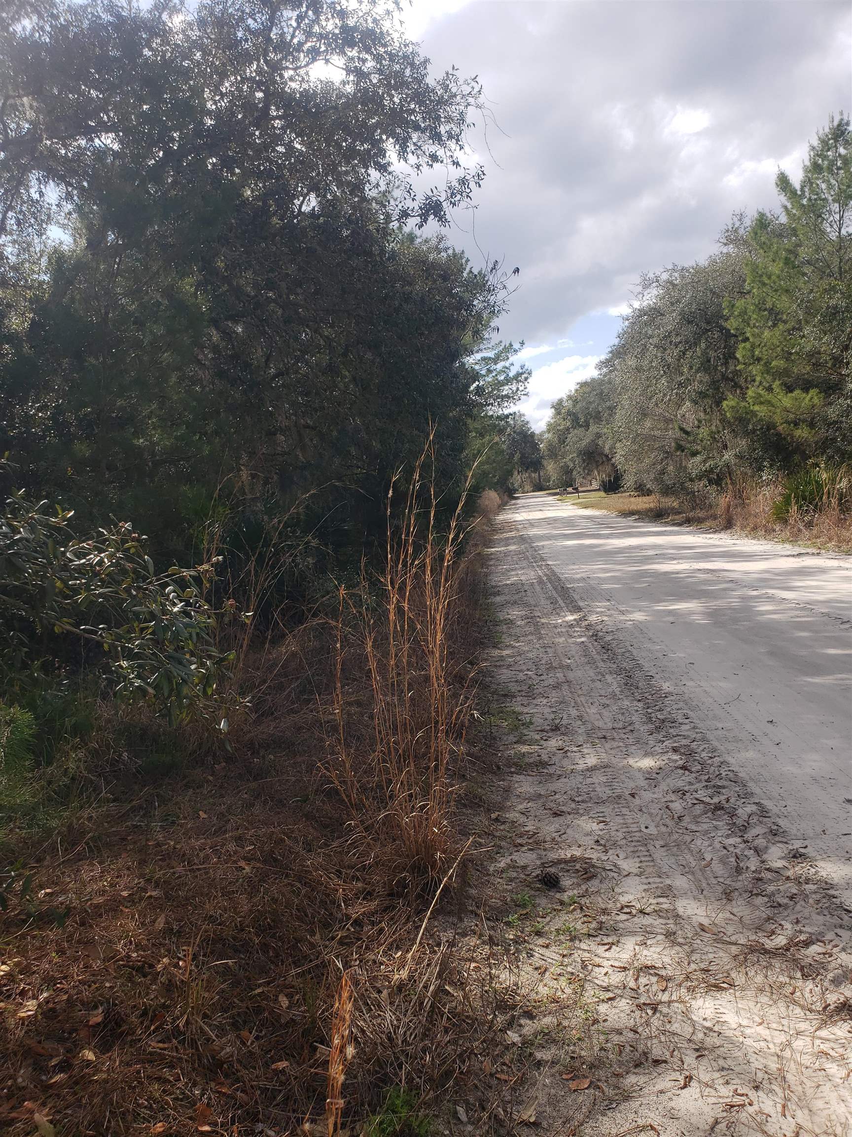 210 Clear Lake Road Crescent City, FL 32112 - Photo 10 of 10 Gallery Image 10