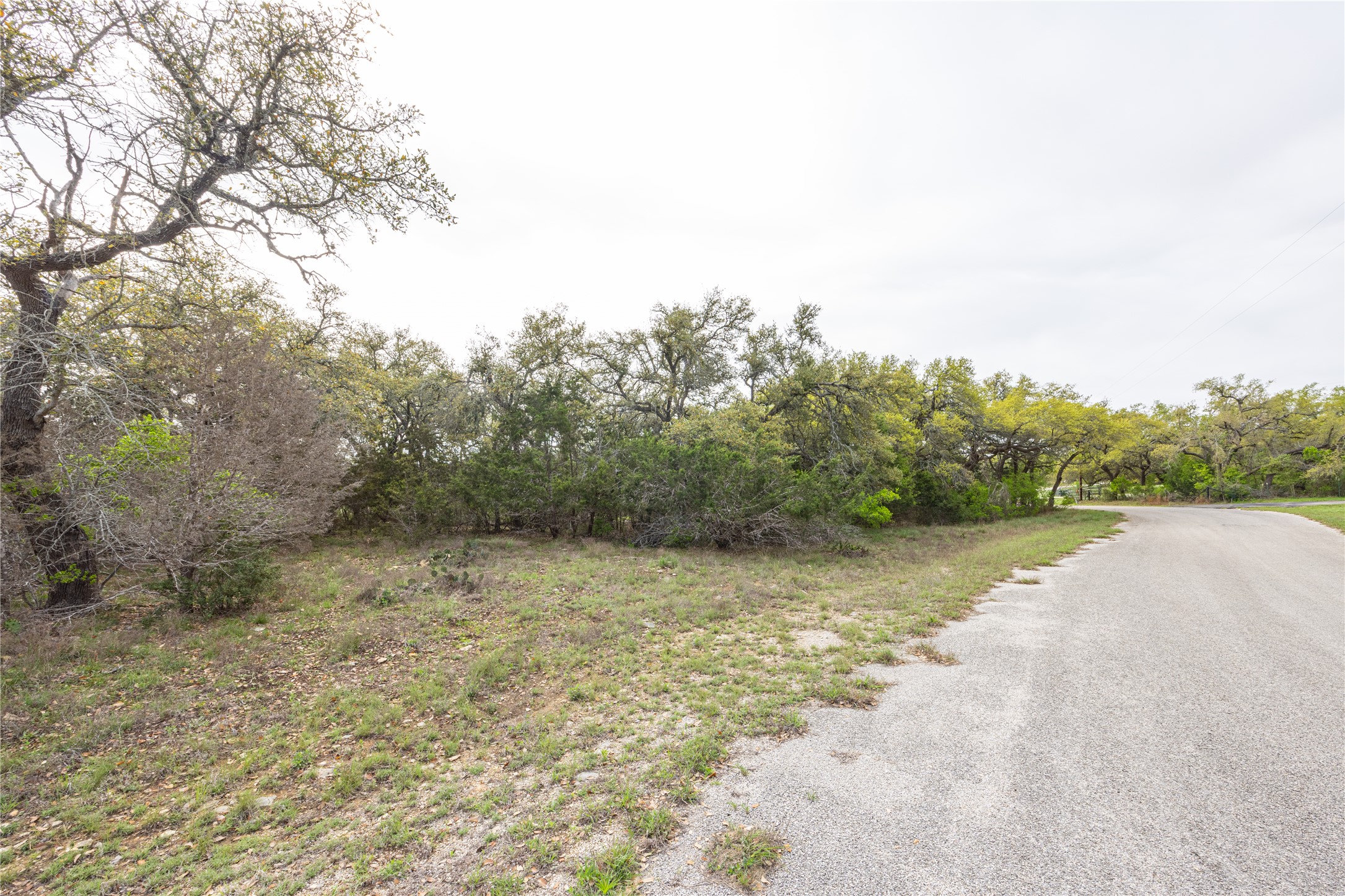 Tbd Tbd Logan's Way Blanco, TX 78606 - Photo 21 of 25 View of street