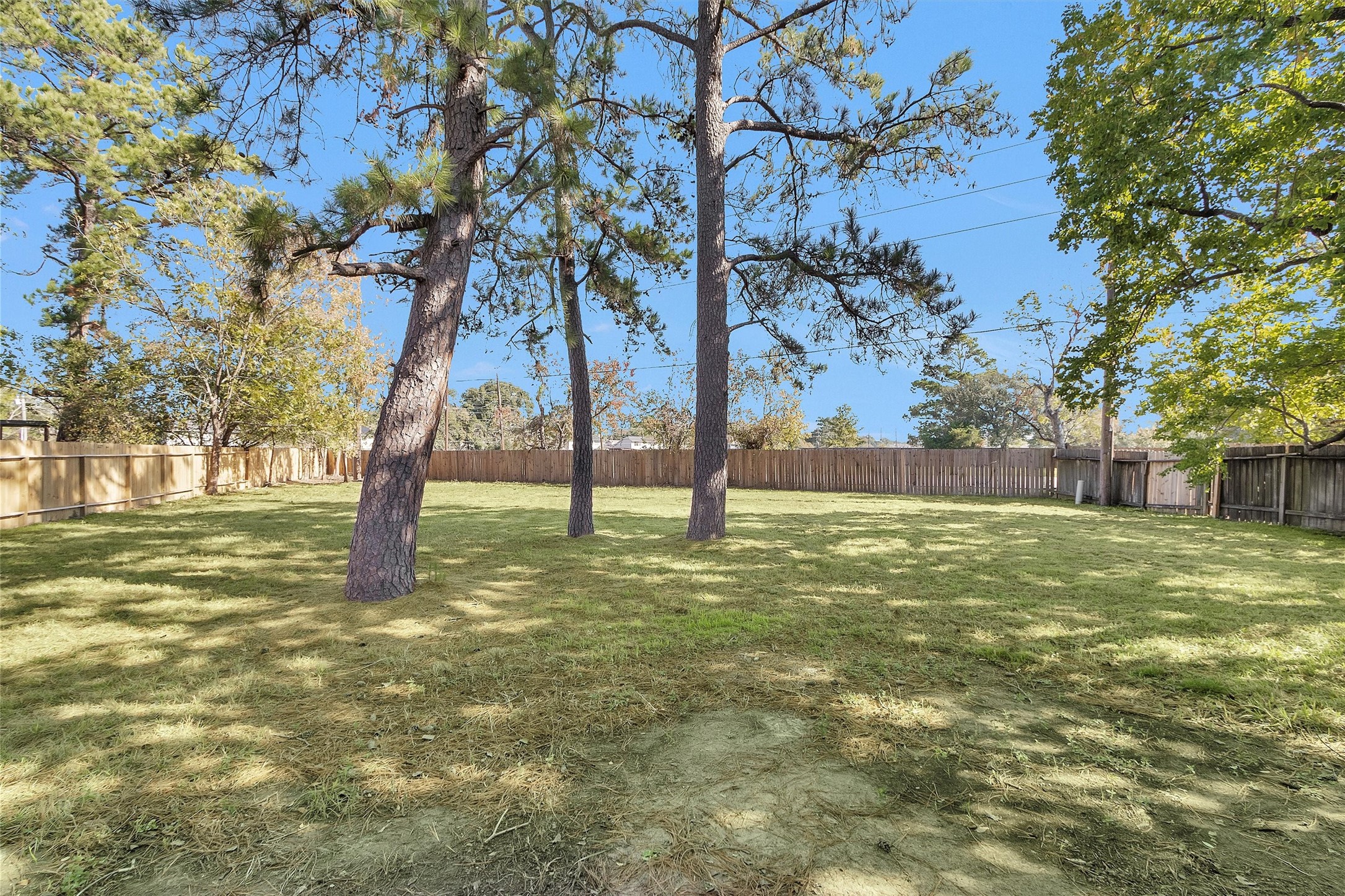 21030 Rivershadows Lane Spring, TX 77388 - Photo 28 of 38 a view of yard with trees