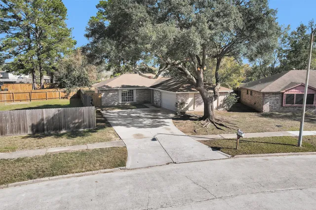 a view of a yard with plants