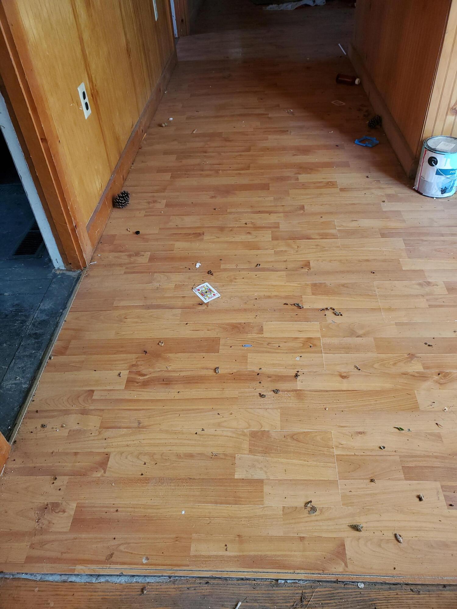 389 Corinna Road St. Albans, ME 04971 - Photo 21 of 29 20210814_082417