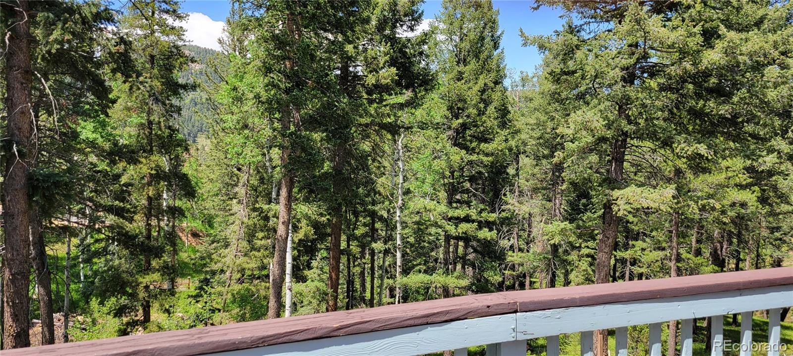 19533 Silver Ranch Road Conifer, CO 80433 - Photo 10 of 19 a view of a forest from a window