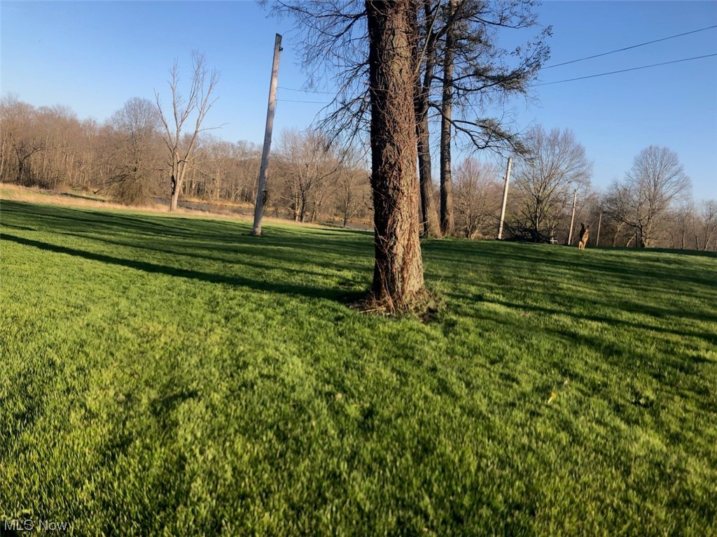 11695 Basinger Road North Lima, OH 44452 - Photo 14 of 14