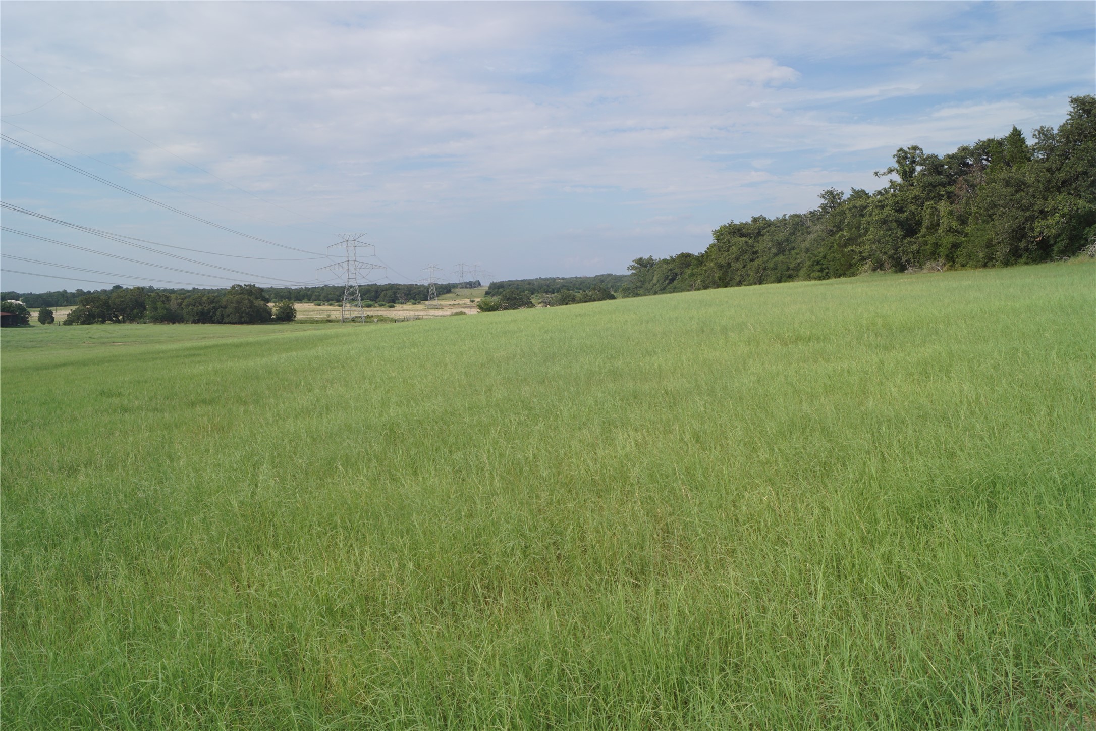 Tbd North County Line Road North Elgin, TX 78621 - Photo 2 of 7 a view of a field with grass and trees