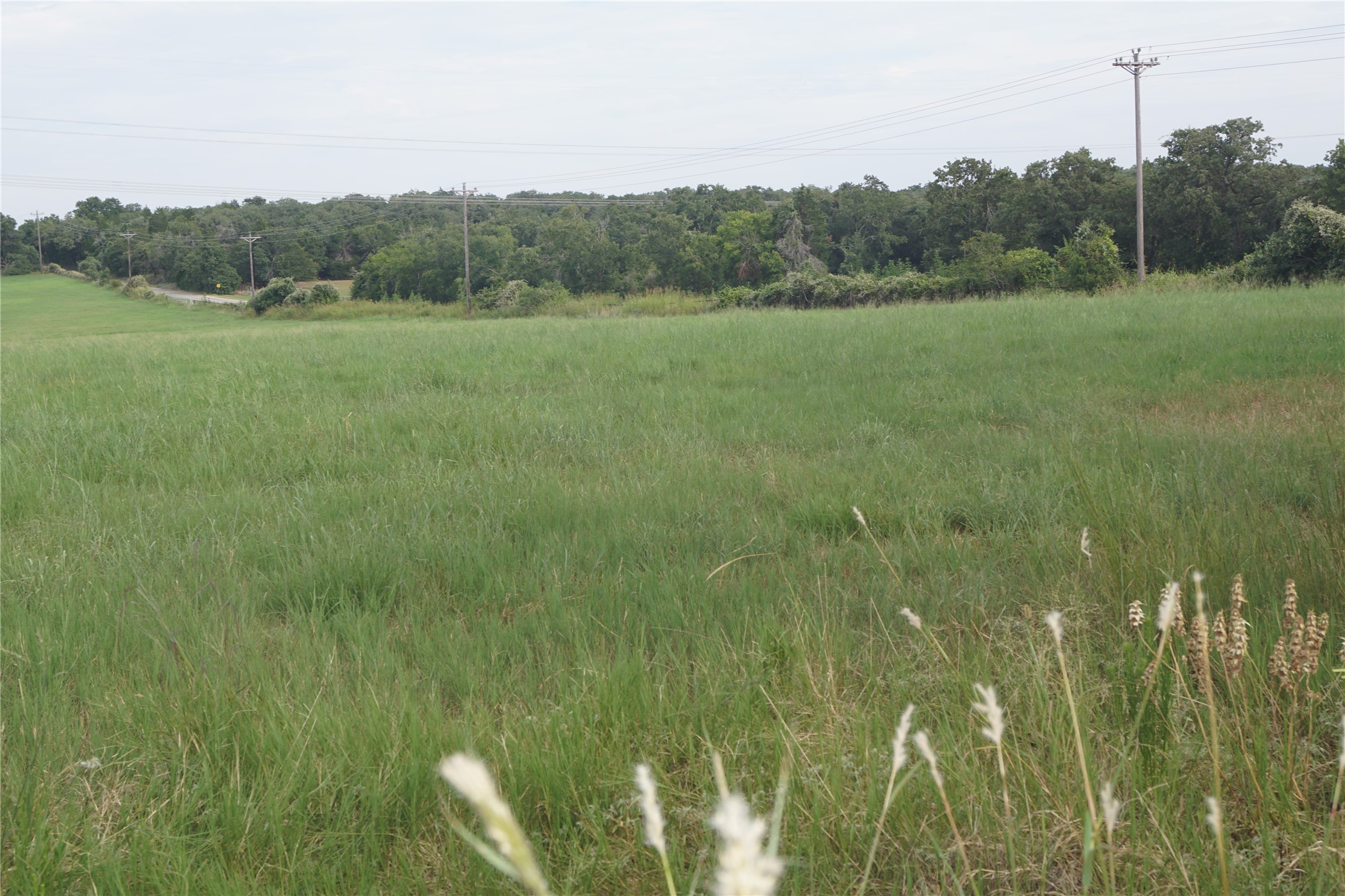 Tbd North County Line Road North Elgin, TX 78621 - Photo 4 of 7 a view of an outdoor space and a yard