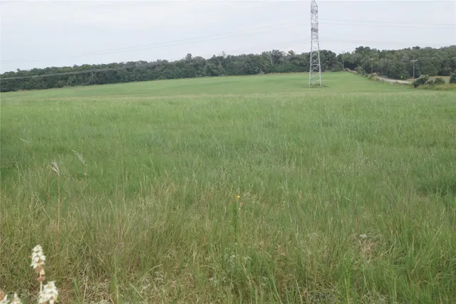 a view of a green field with clear sky