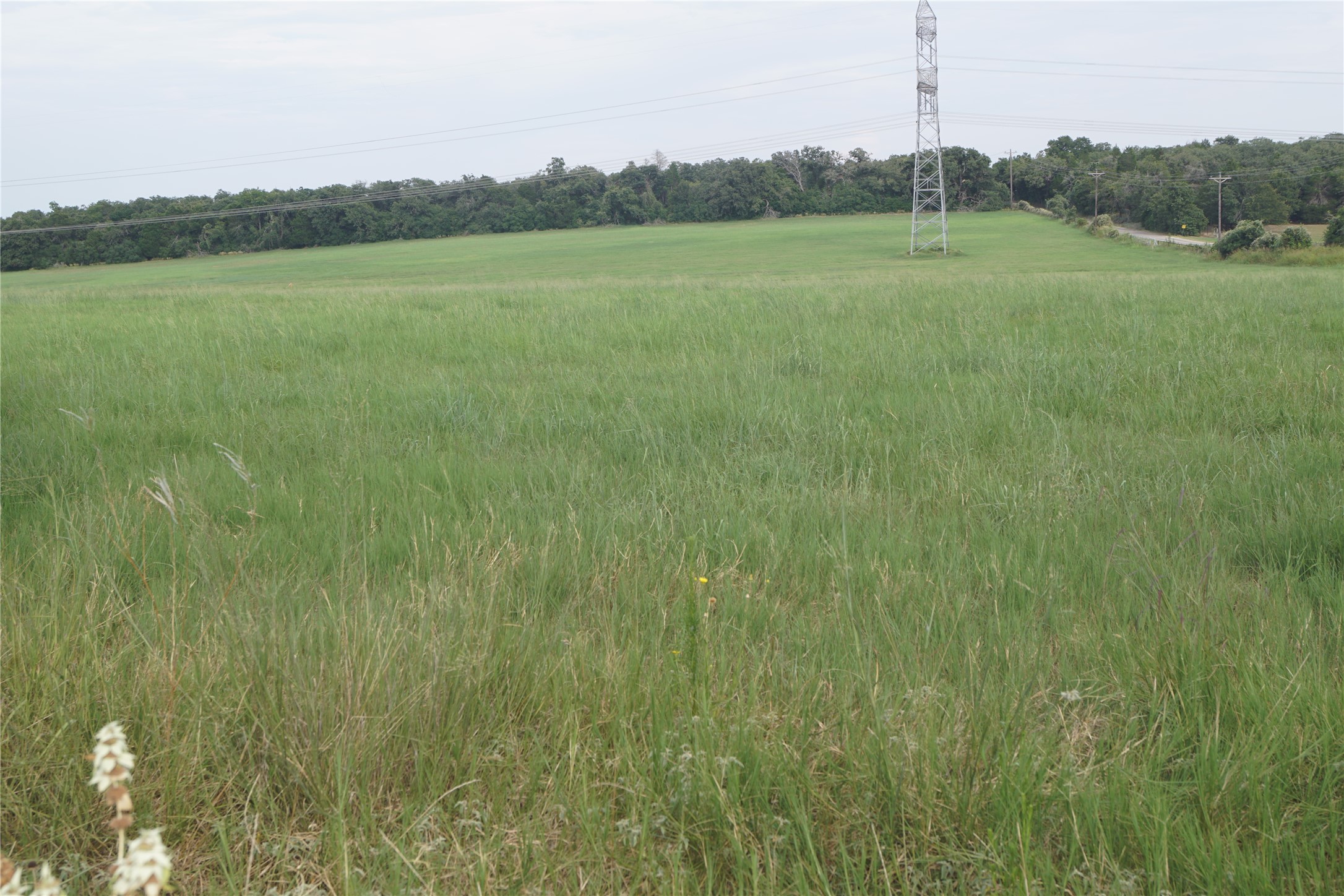 Tbd North County Line Road North Elgin, TX 78621 - Photo 5 of 7 a view of a green field with clear sky