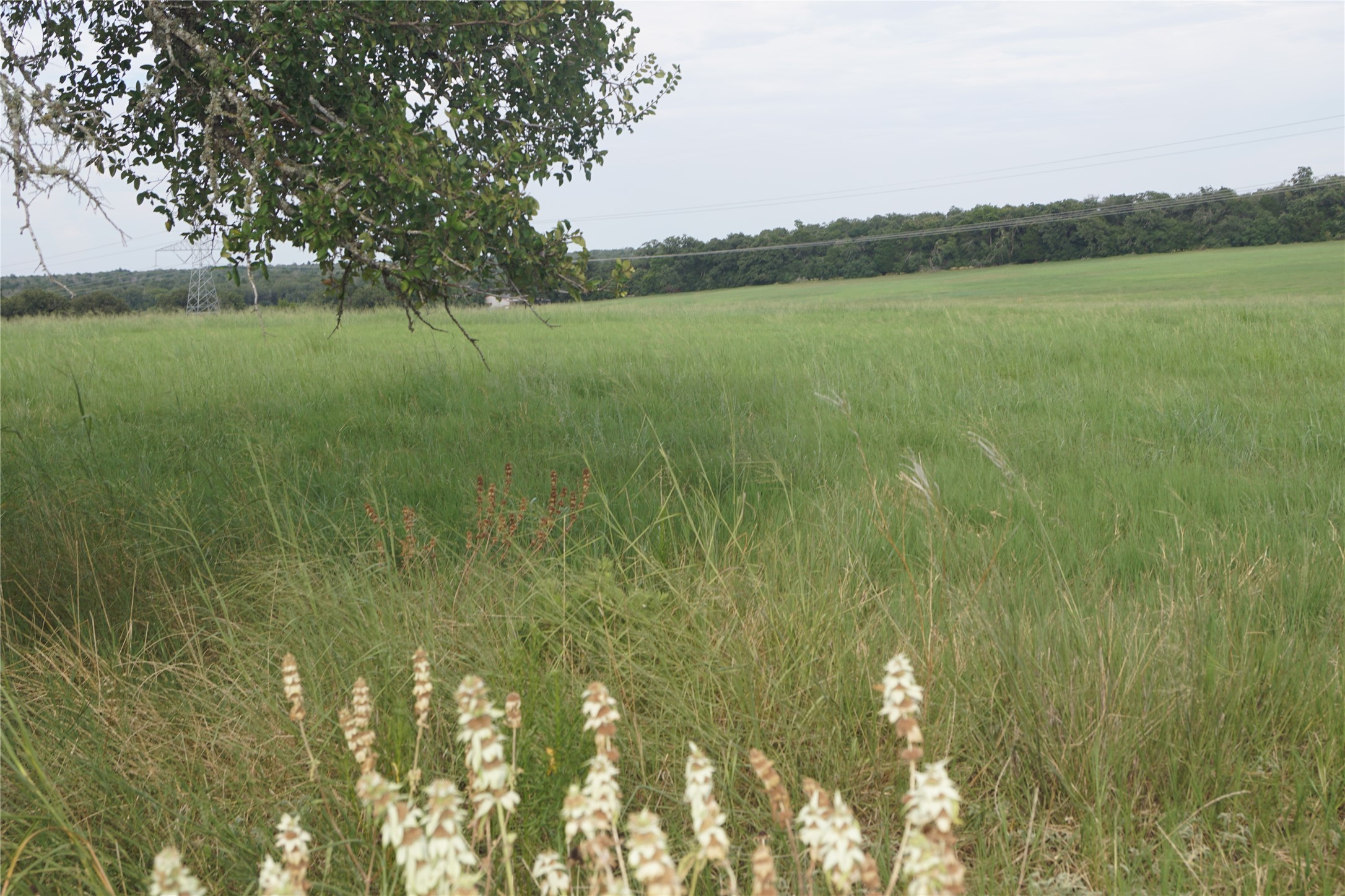Tbd North County Line Road North Elgin, TX 78621 - Photo 6 of 7 a view of a lake with a yard