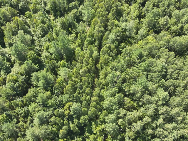 $40,000 | 279 East Branch Road, Howland, ME 04448