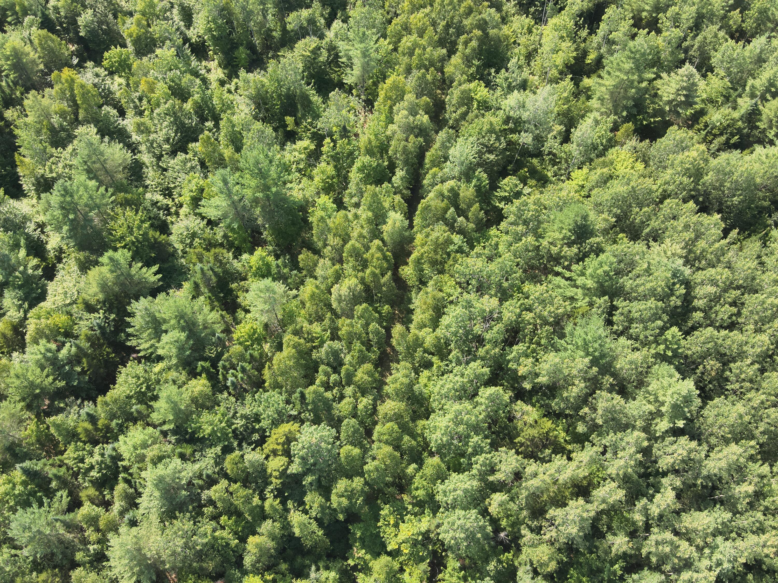 279 East Branch Road Howland, ME 04448 - Photo 11 of 27 DJI_20250805154605_0013_V