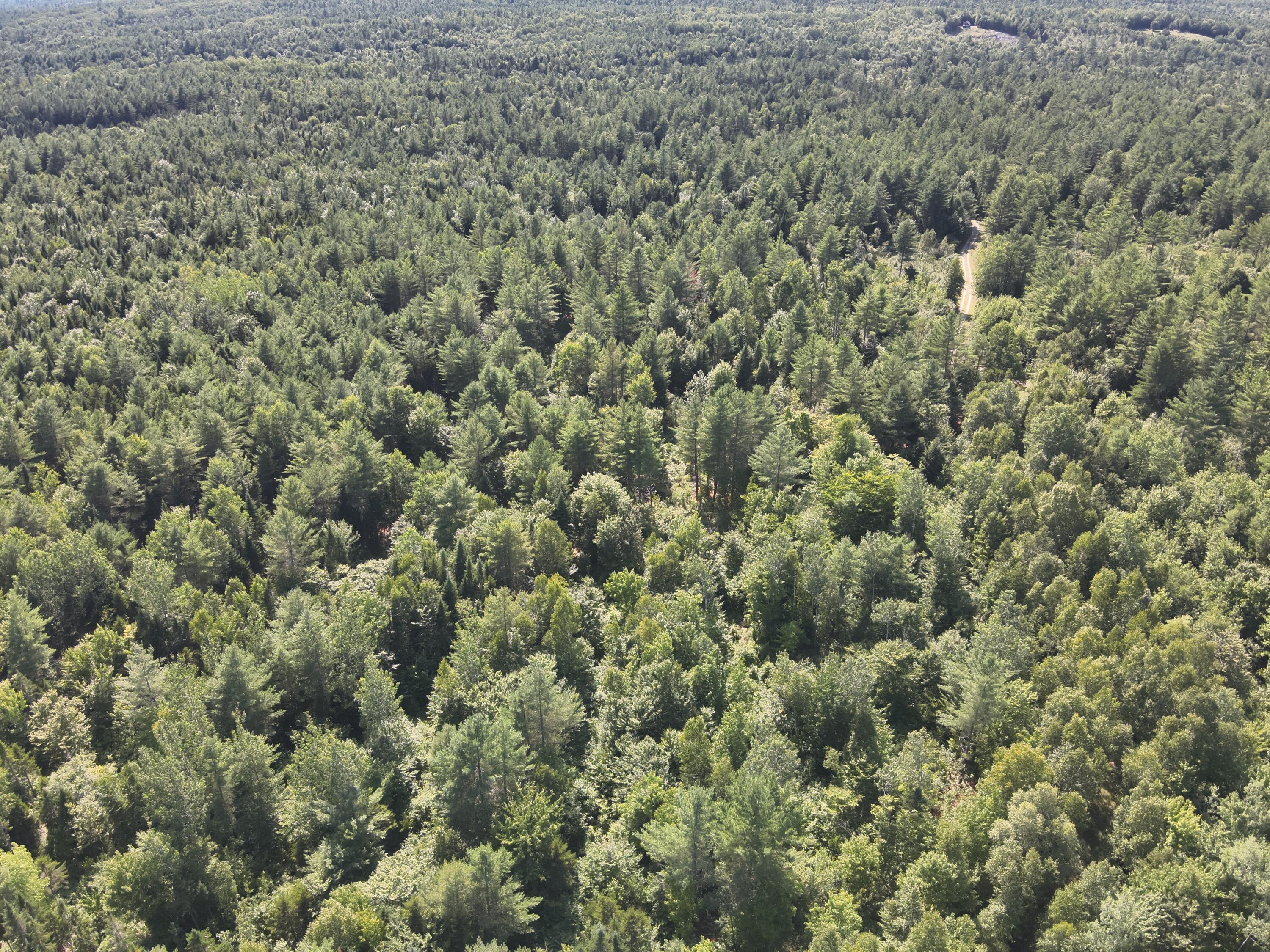 279 East Branch Road Howland, ME 04448 - Photo 12 of 27 DJI_20250805154616_0014_V