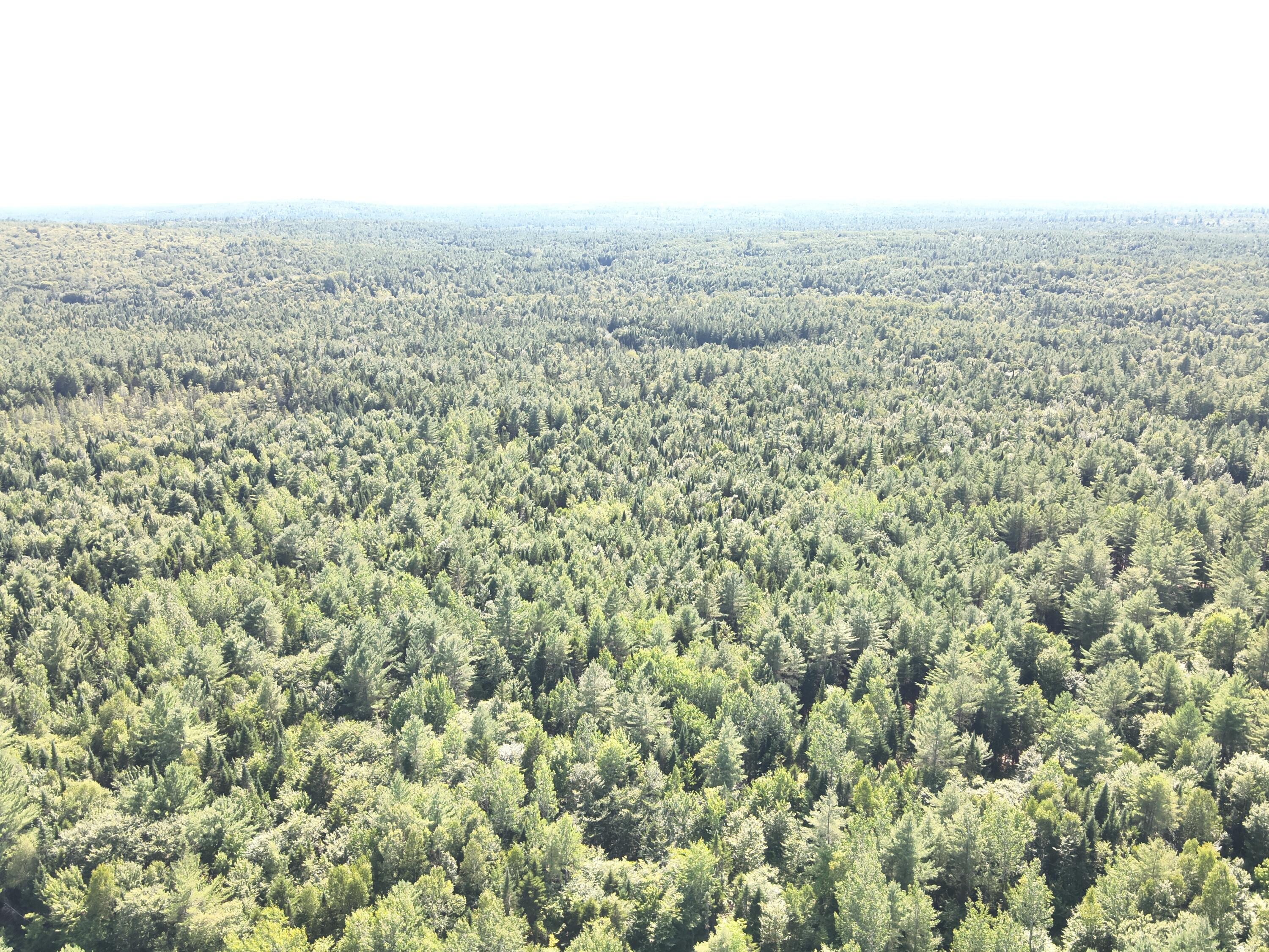 279 East Branch Road Howland, ME 04448 - Photo 4 of 27 DJI_20250805153822_0004_V