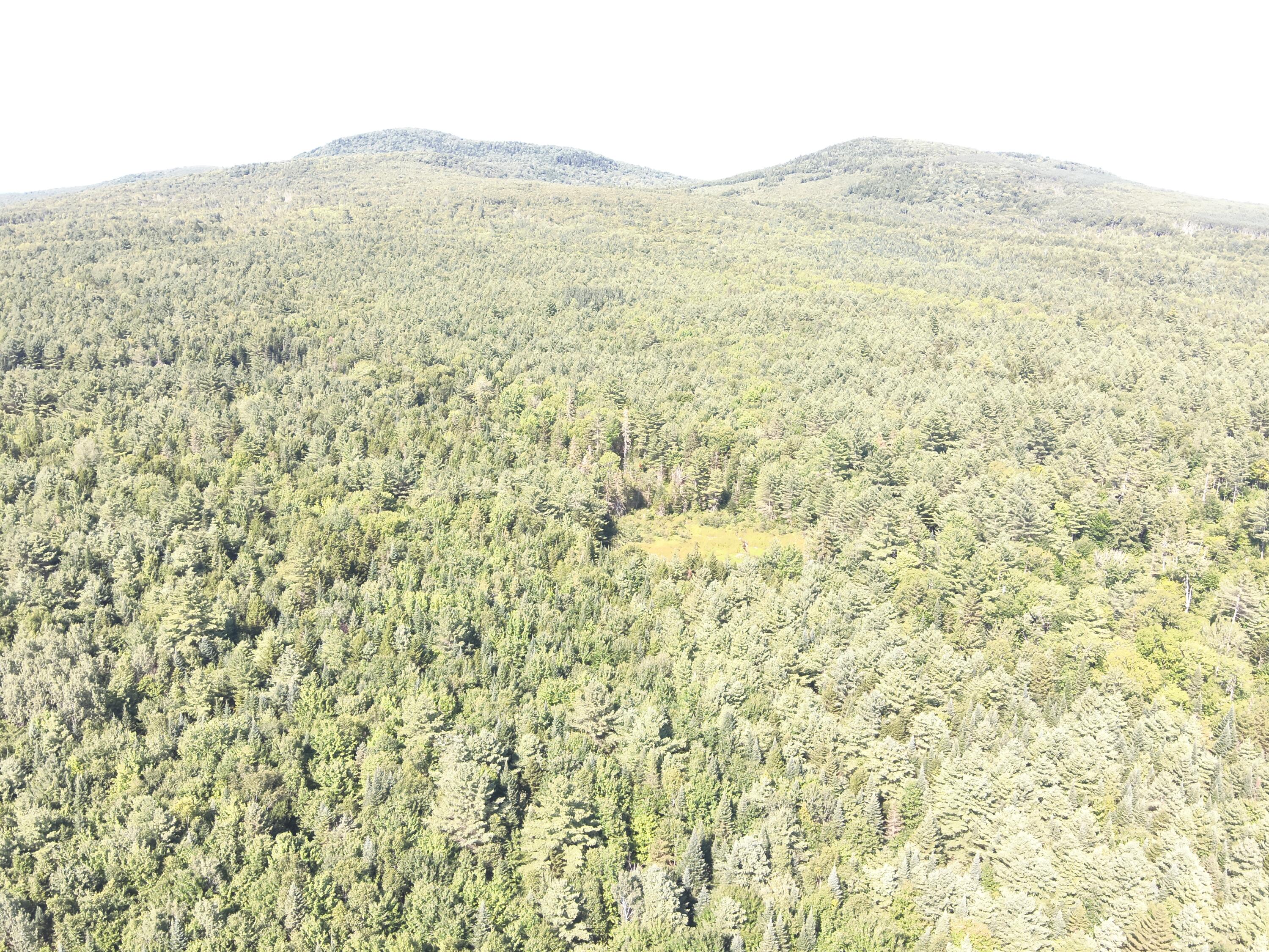 279 East Branch Road Howland, ME 04448 - Photo 6 of 27 DJI_20250805153838_0006_V