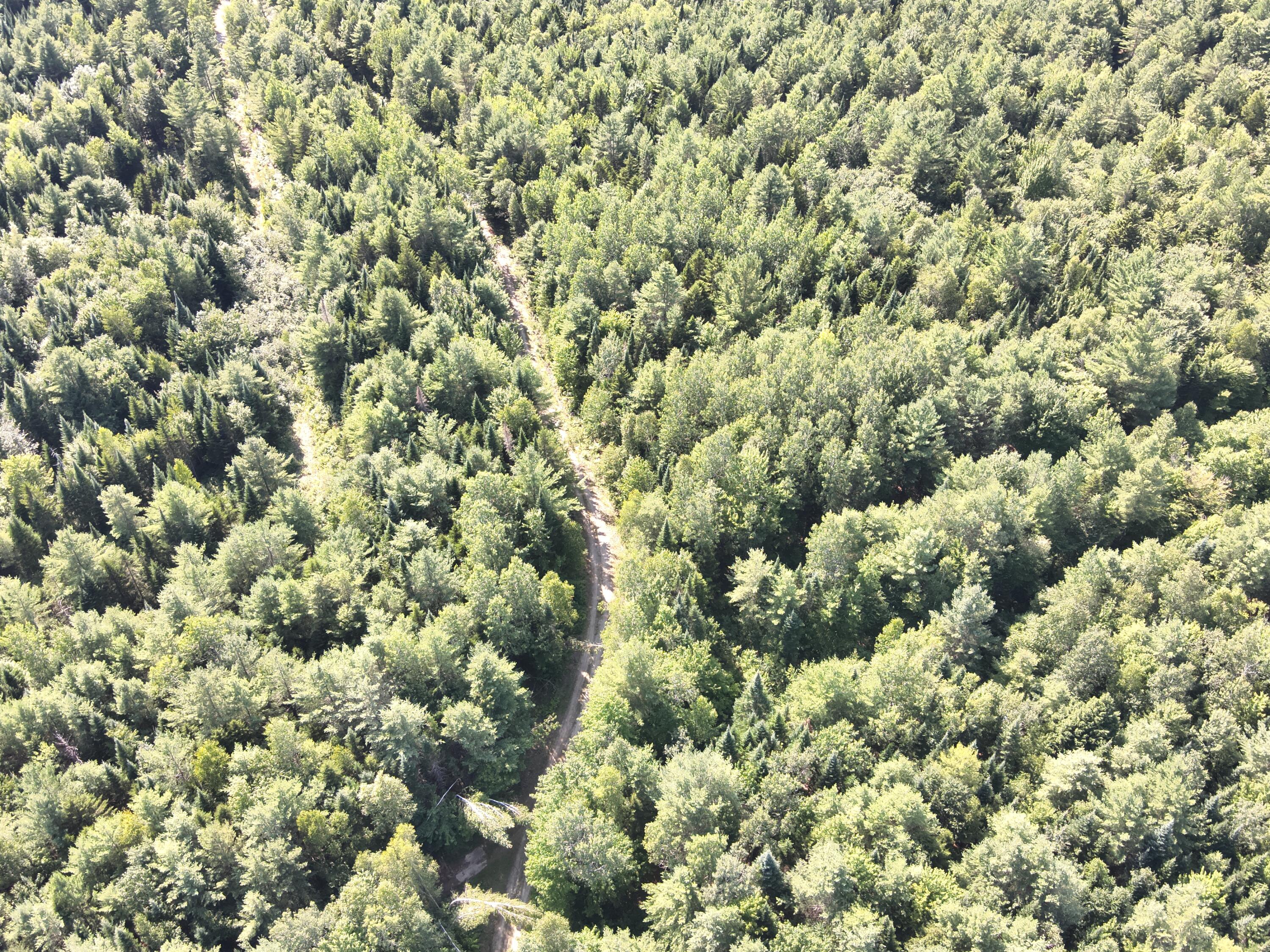 279 East Branch Road Howland, ME 04448 - Photo 7 of 27 DJI_20250805154038_0009_V