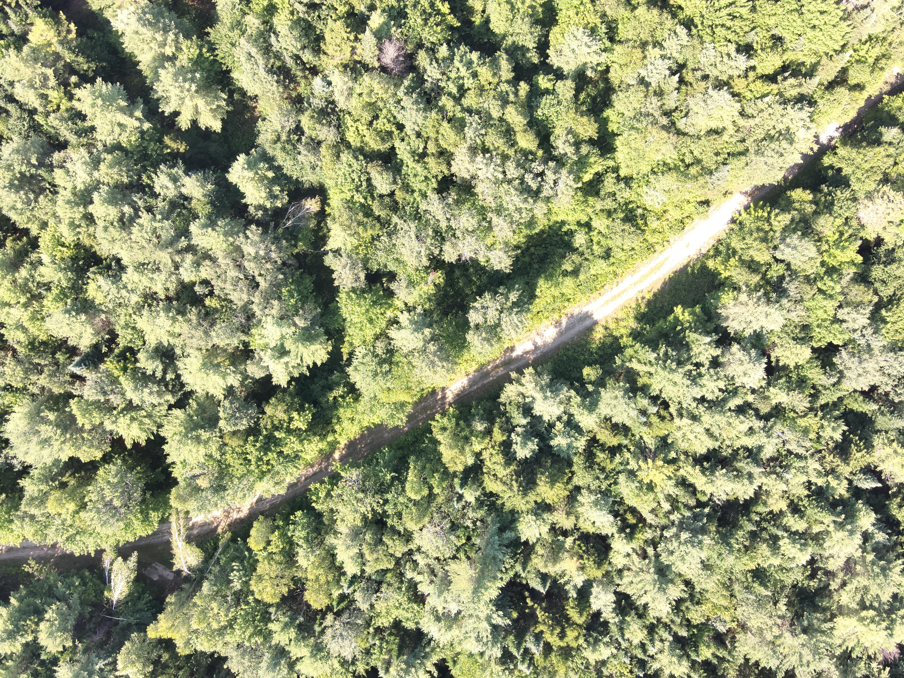 279 East Branch Road Howland, ME 04448 - Photo 8 of 27 DJI_20250805154128_0010_V