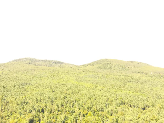 $40,000 | 279 East Branch Road, Howland, ME 04448