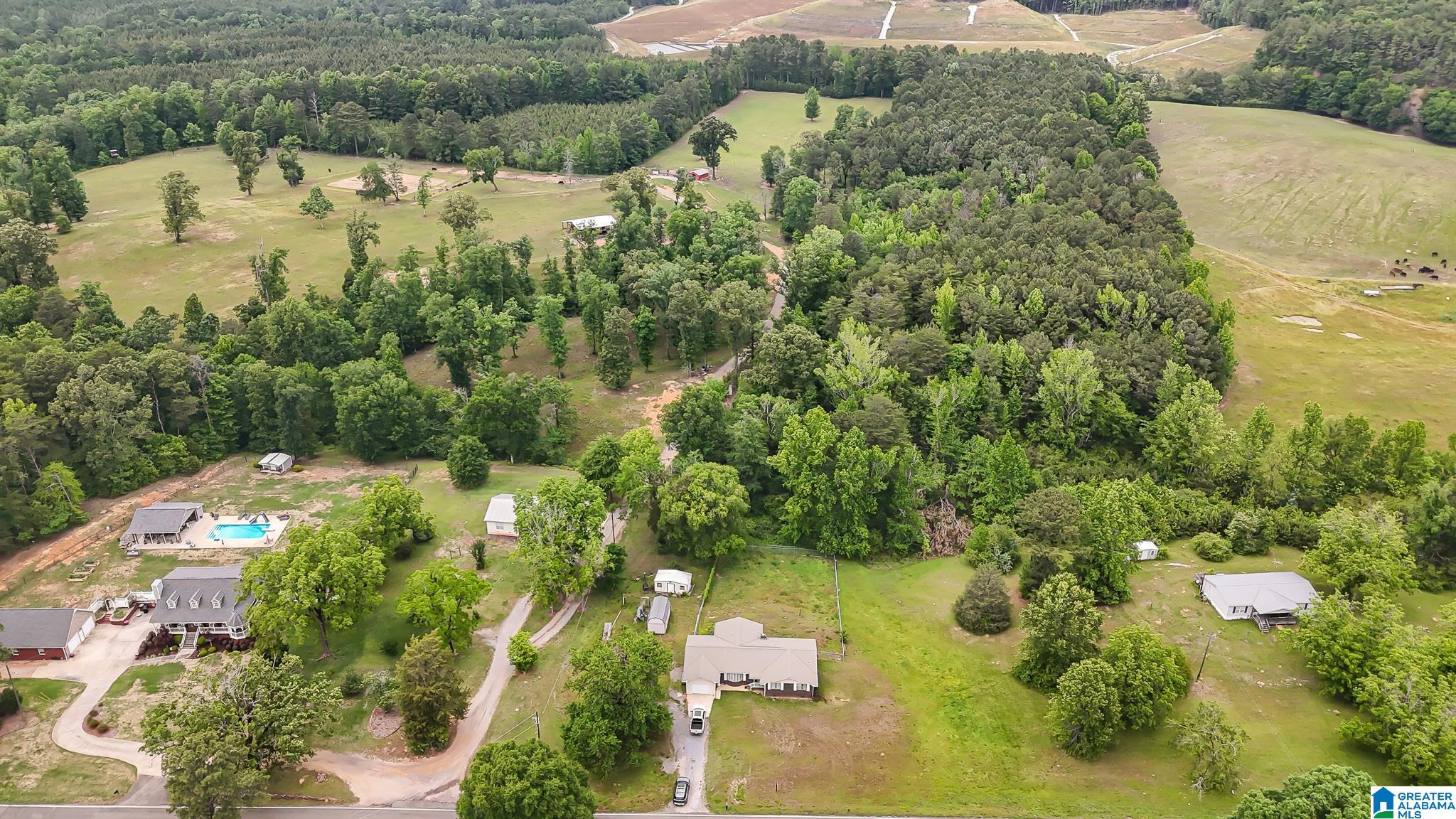 2819 Mud Creek Road Adger, AL 35006 - Photo 4 of 16
