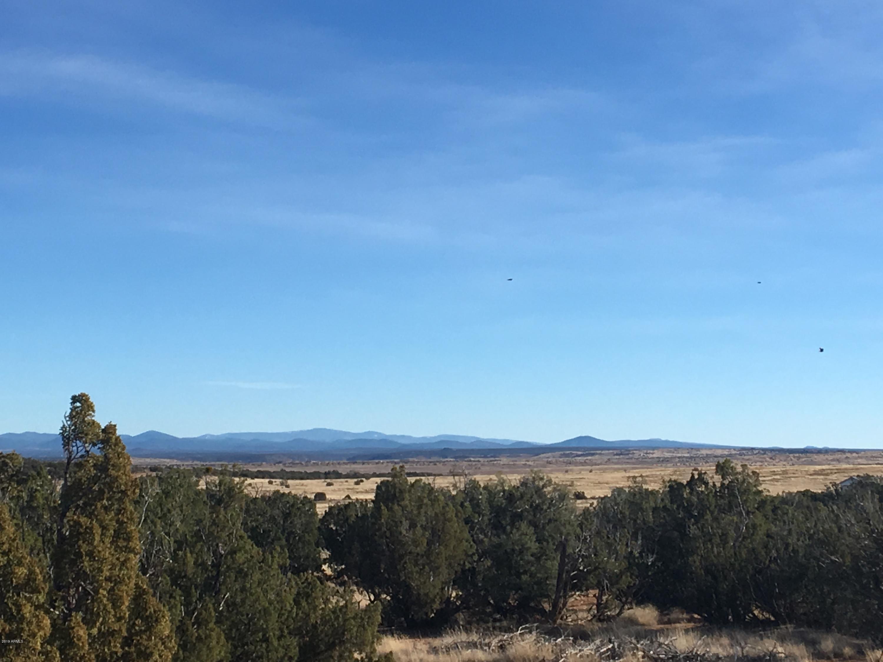 3857 Petersen Road Snowflake, AZ 85937 - Photo 1 of 10 IMG_0147