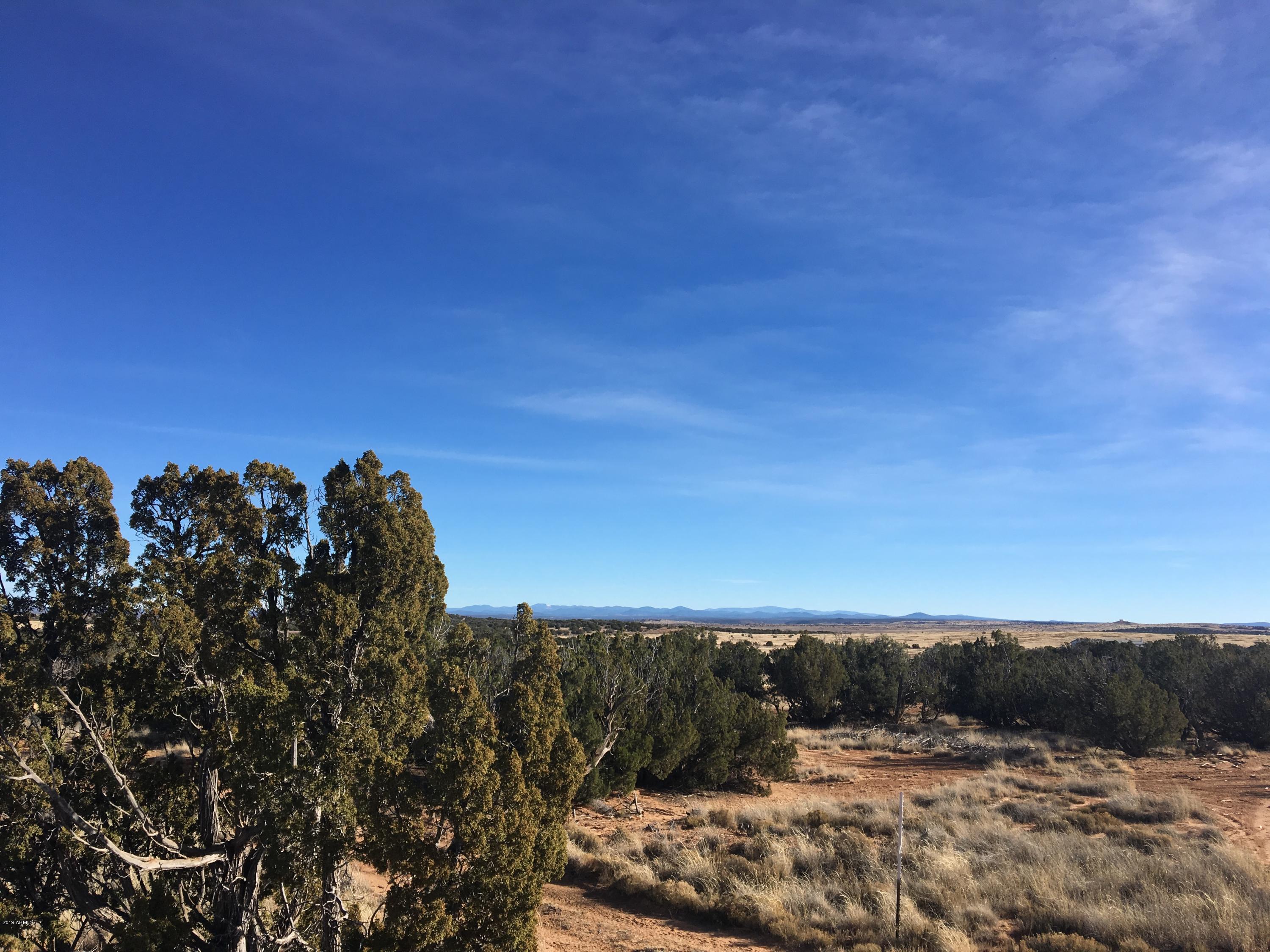 3857 Petersen Road Snowflake, AZ 85937 - Photo 2 of 10 IMG_0134