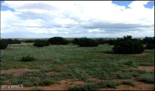 3857 Petersen Road Snowflake, AZ 85937 - Photo 9 of 10 Picture2