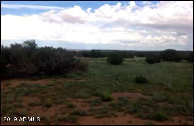 3857 Petersen Road Snowflake, AZ 85937 - Photo 10 of 10 Picture4