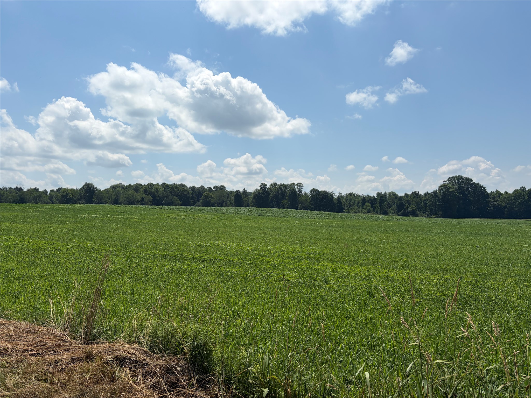 Wheeler Road Linesville, PA 16424 - Photo 4 of 7