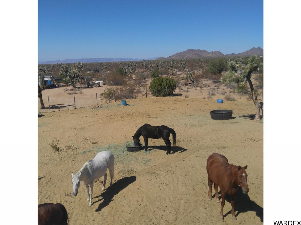 3390 South Doc Holliday Road Yucca, AZ 86438 - Photo 11 of 25 a view of a lake