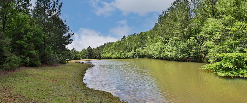 998 Pine Lake Road West Point, GA 31833 - Photo 41 of 58 Gallery Image 41