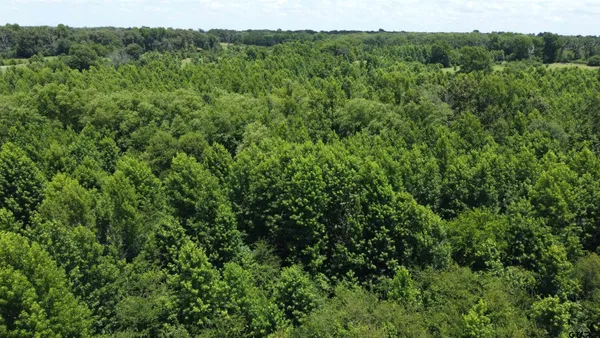 a view of a green field