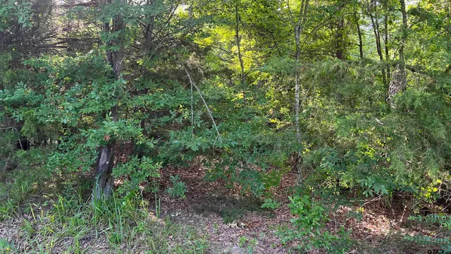 a view of a green field with lots of bushes