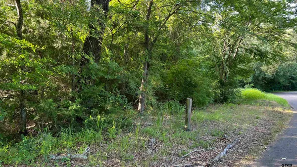 $139,000 | 401 County Road 2920, Alba, TX 75410