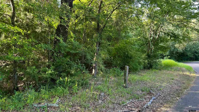 $139,000 | 401 County Road 2920, Alba, TX 75410