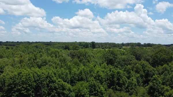 a view of a big yard with lots of green space