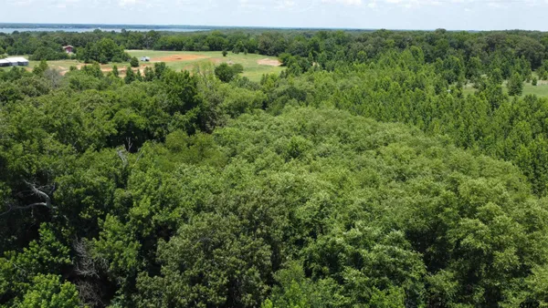 a view of a lake and green space