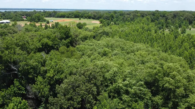 a view of a lake and green space