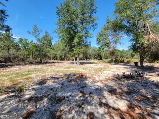 a view of outdoor space with trees all around