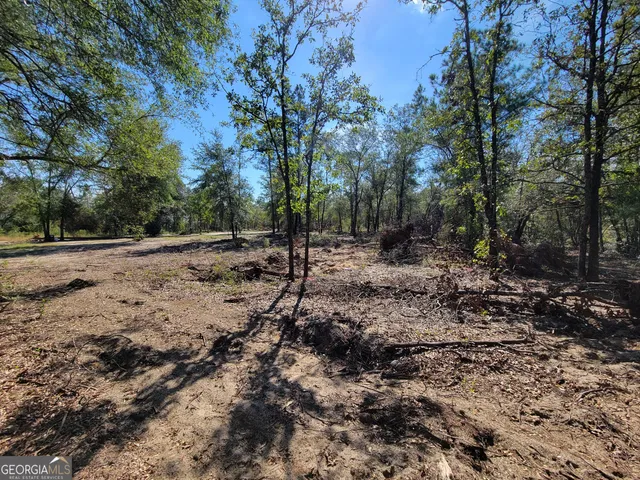 a view of outdoor space with trees