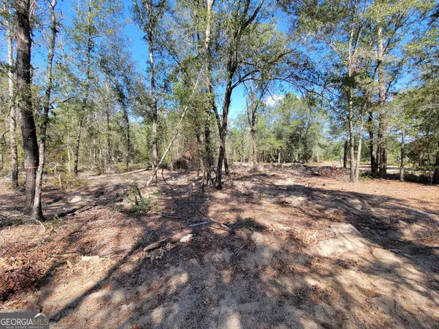 a view of a yard with a tree