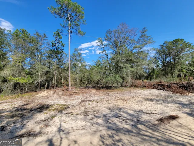 a view of a yard with a tree