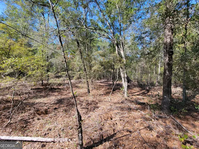a view of backyard with green space