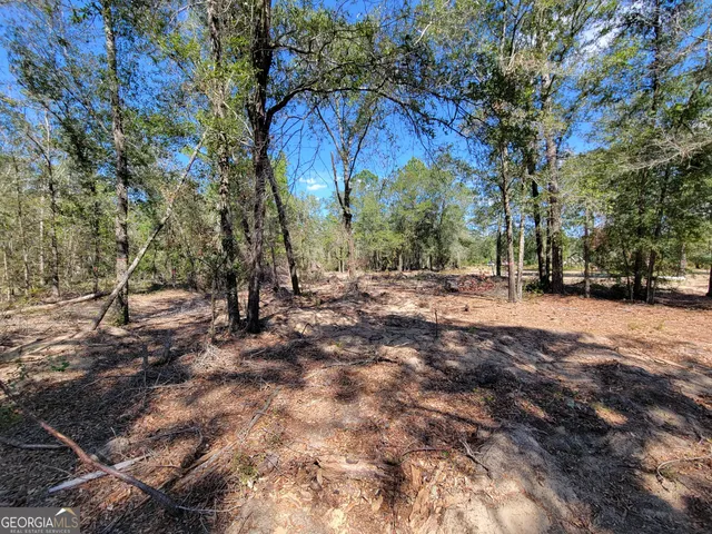 a view of backyard with green space