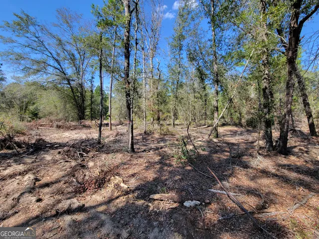 a view of swimming pool with a yard