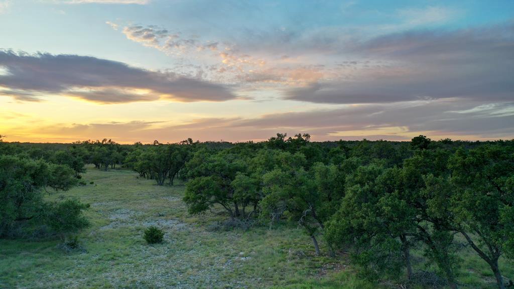 0 Stevens Ranch Road Harper, TX 78631 - Photo 1 of 31 a view of a city with lush green forest