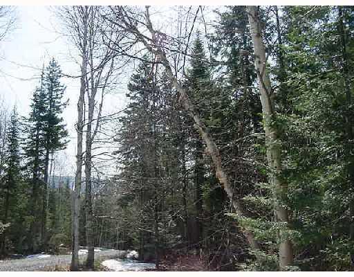 2 Wood Road Dallas Plt, ME 04970 - Photo 2 of 10 winter view