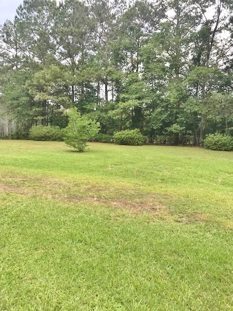 7377 Moak Road Summit, MS 39666 - Photo 27 of 30 Photo 27