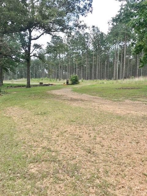 7377 Moak Road Summit, MS 39666 - Photo 28 of 30 Photo 28